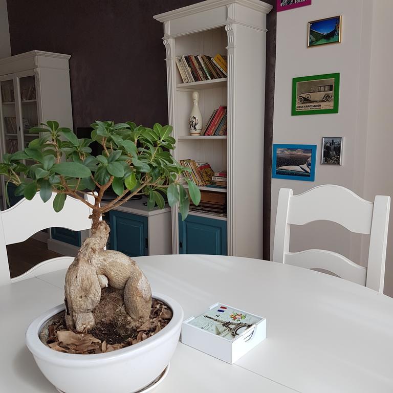 Classic Apartment Брашов Екстериор снимка
