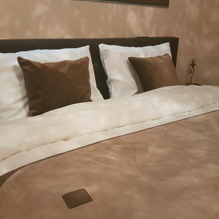 Classic Apartment Брашов Екстериор снимка