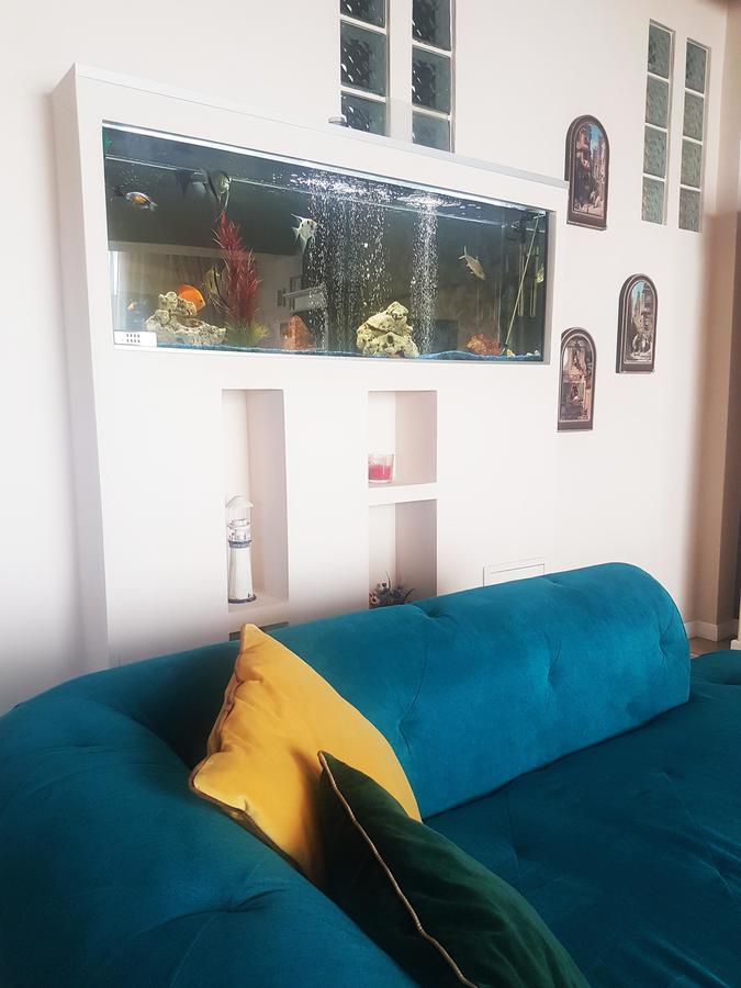 Classic Apartment Брашов Екстериор снимка